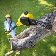 Best Utility Line Clearance  in Downey, CA