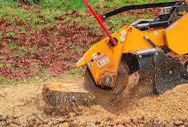Best Lawn Watering Services  in Downey, CA